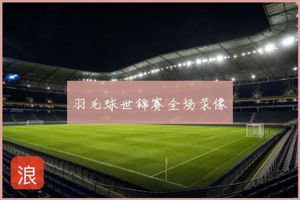 羽毛球世锦赛全场录像